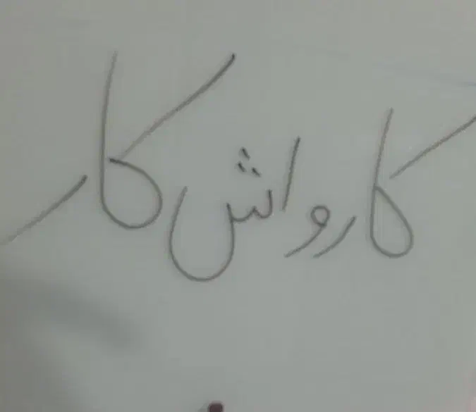 کارواش تمیزلیک|استخدام خدمات فروشگاه و رستوران|مشگین شهر, |دیوار