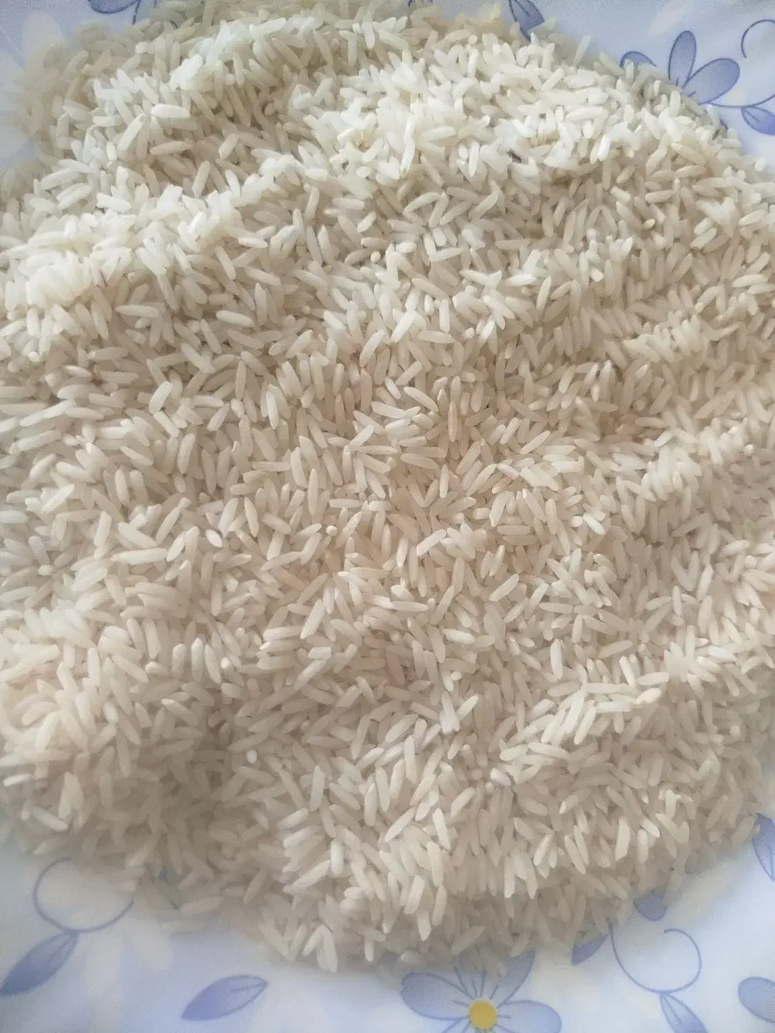 برنج طارم|خوردنی و آشامیدنی|سیروان, |دیوار