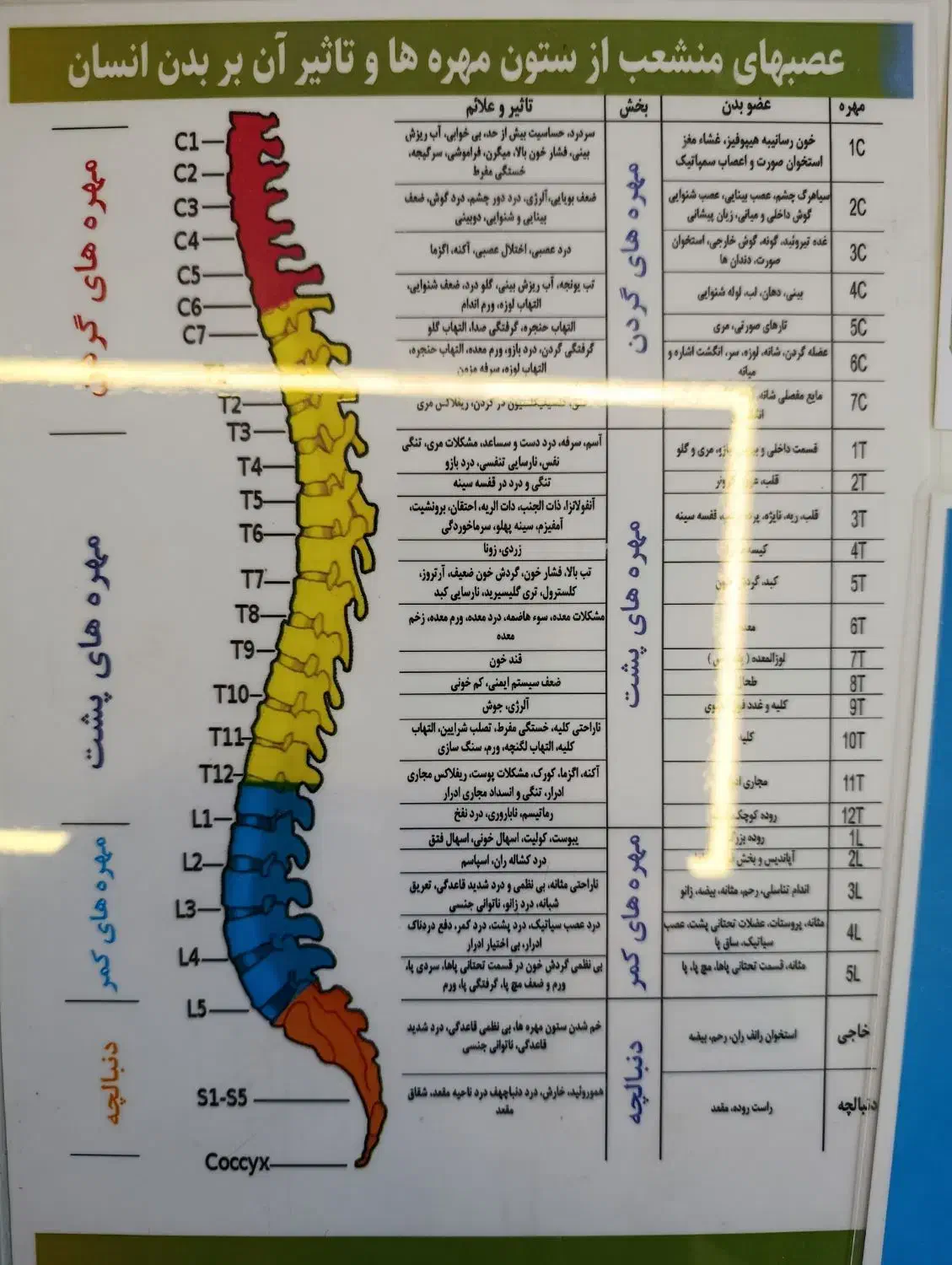 خدمات صندلی وتخت ماساژ درمانی|خدمات آرایشگری و زیبایی|شیراز, زرهی|دیوار