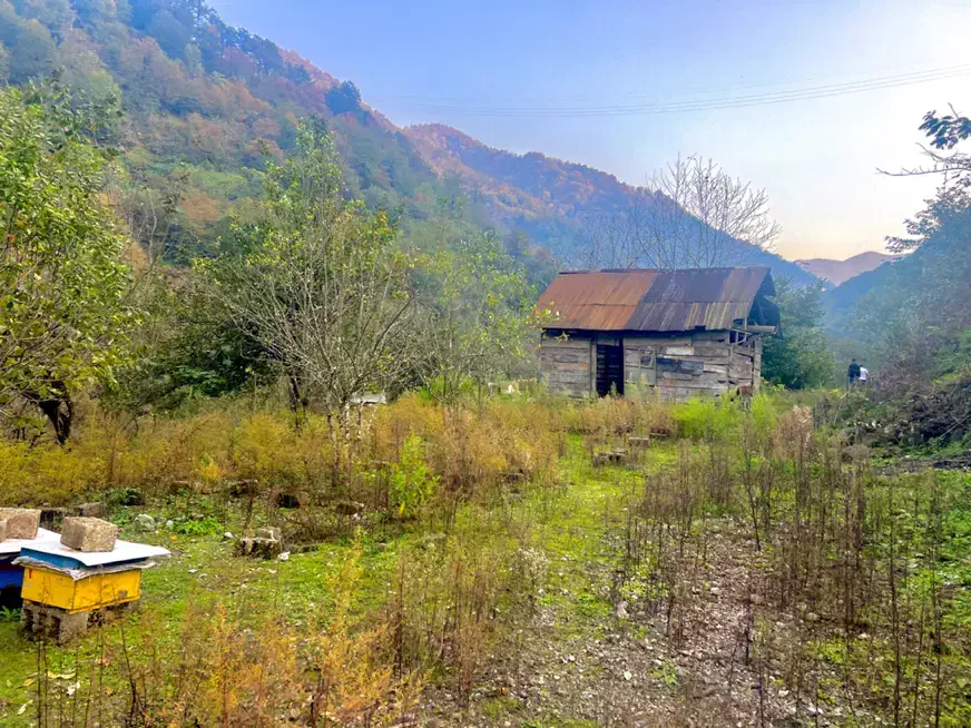 زمین ویلایی دربهارستان پشت باغ حافظ|فروش زمین و ملک کلنگی|آستارا, |دیوار