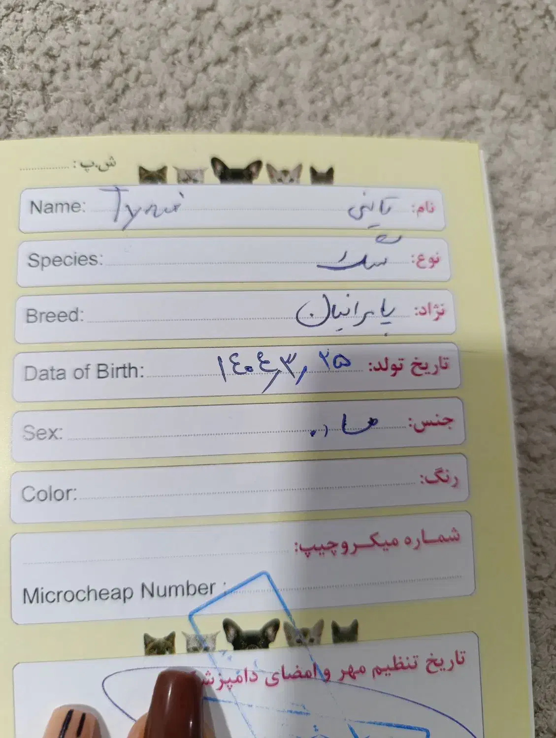 پامر آپارتمانی|سگ|کهریزک, |دیوار