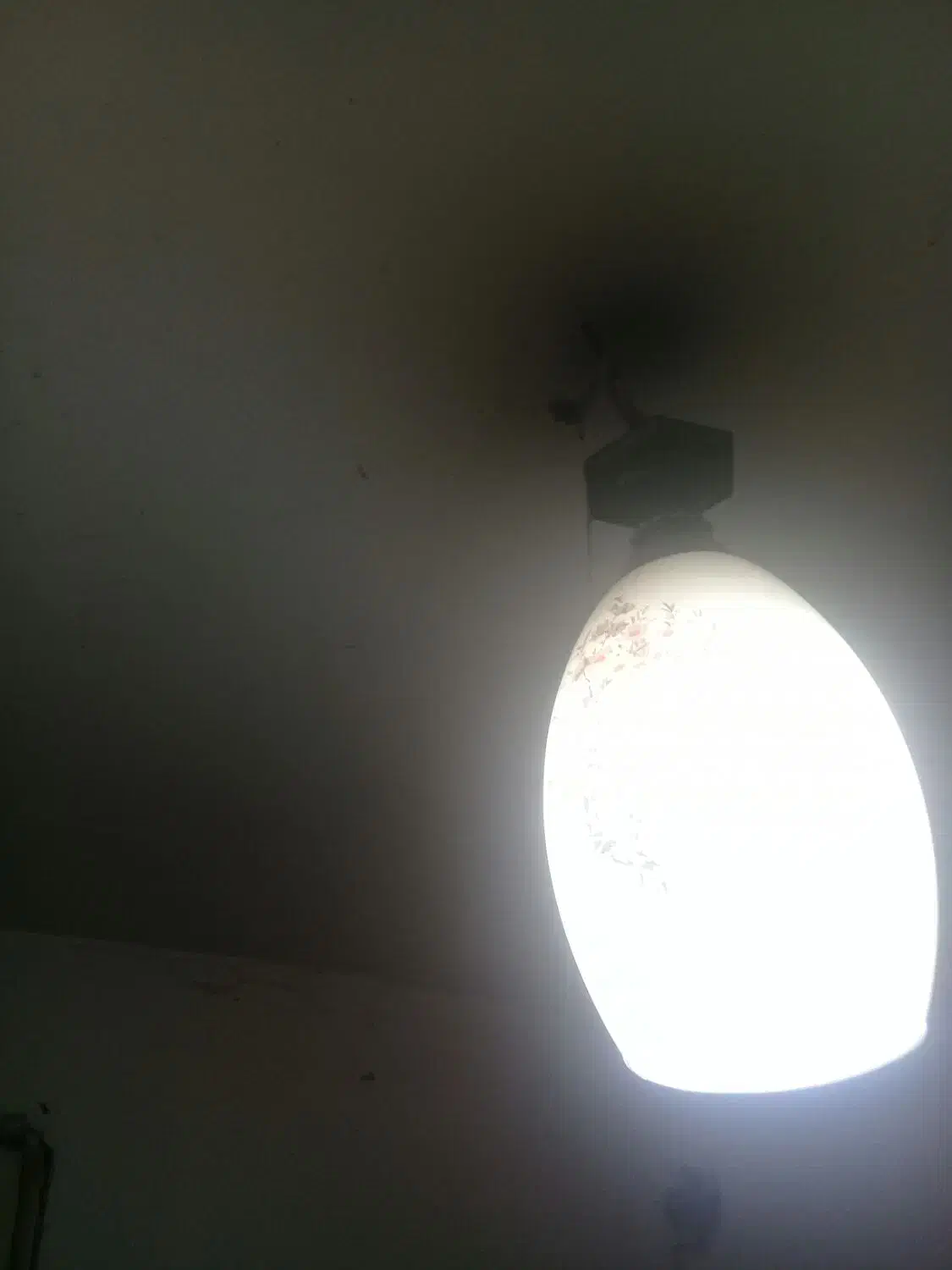 ستا لوستر بلور|لوستر و چراغ آویز|مشهد, امیر|دیوار