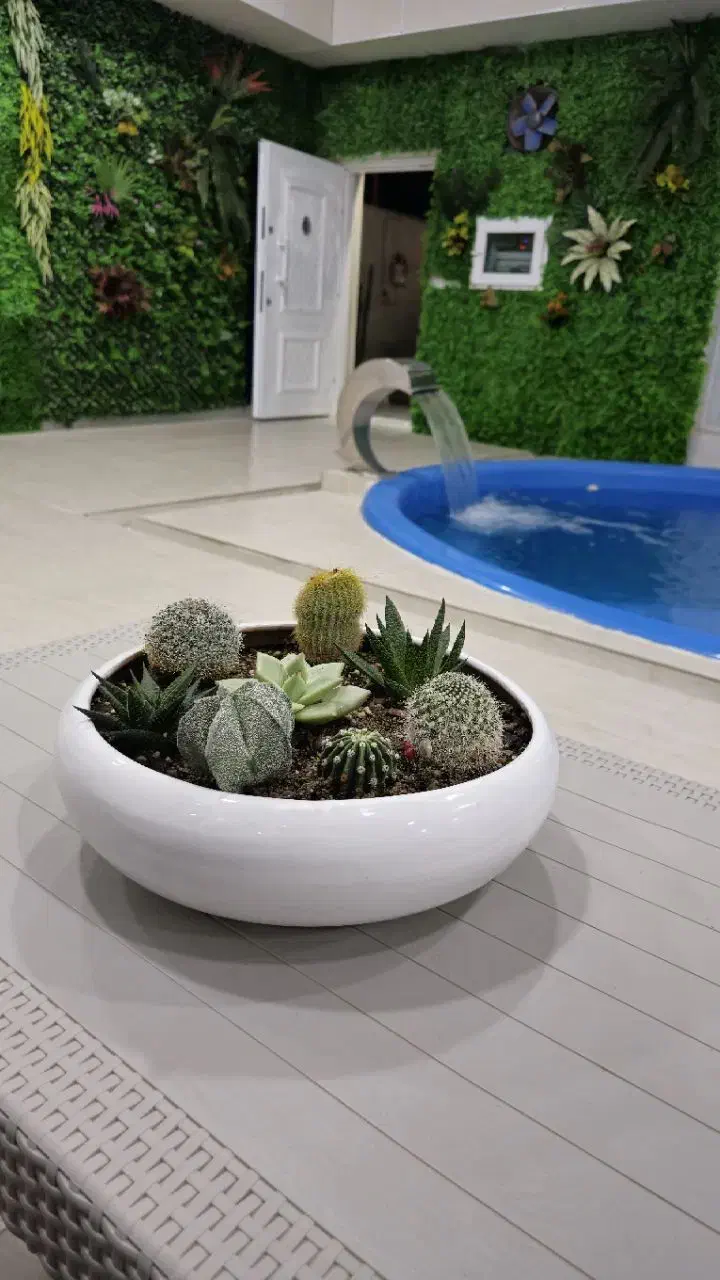 اجاره روزانهی سوئیت، ویلا استخردار سرپوشیده|اجارهٔ کوتاهمدت آپارتمان و سوئیت|برازجان, |دیوار