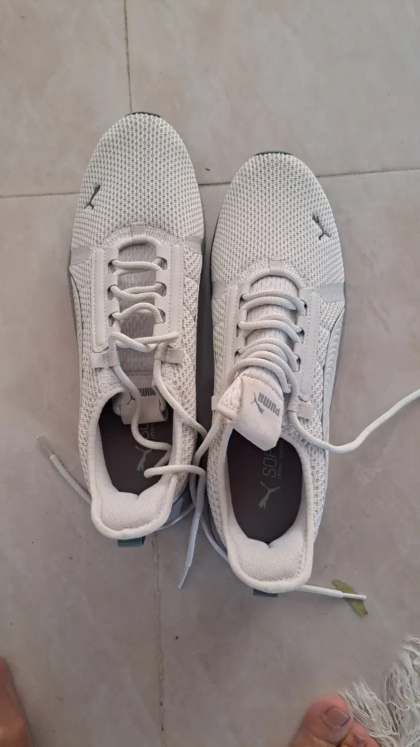 فروش یک عدد کفش پاما شماره ۴۷|کیف، کفش، کمربند|کرمان, |دیوار