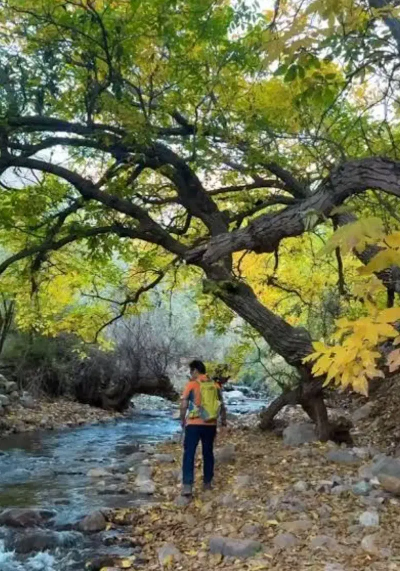 باغ گردودر بهترین لوکیشن رودخانه کهمان الشتر|فروش خانه و ویلا|الشتر, |دیوار