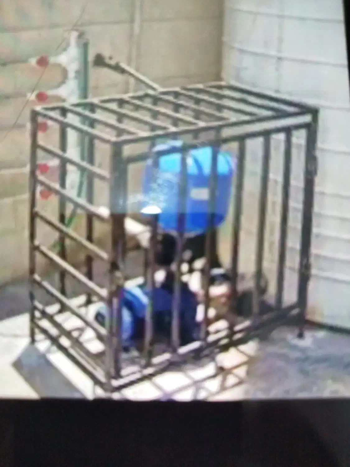 جوشکاری سیار|خدمات پیشه و مهارت|چابهار, |دیوار