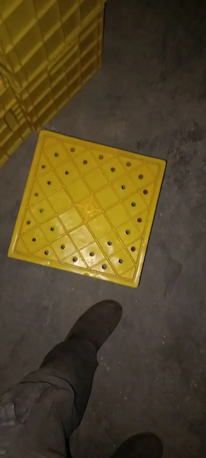 سبد|عمده‌فروشی|کرج, کمال‌شهر|دیوار