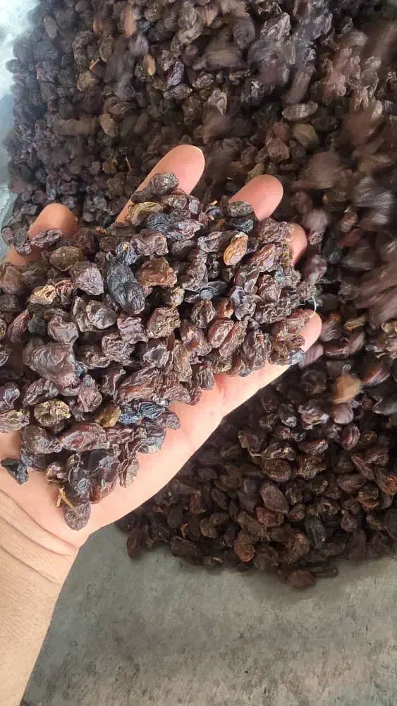 نماینده کشمش ومویز شیراز|خوردنی و آشامیدنی|تهران, مرزداران|دیوار