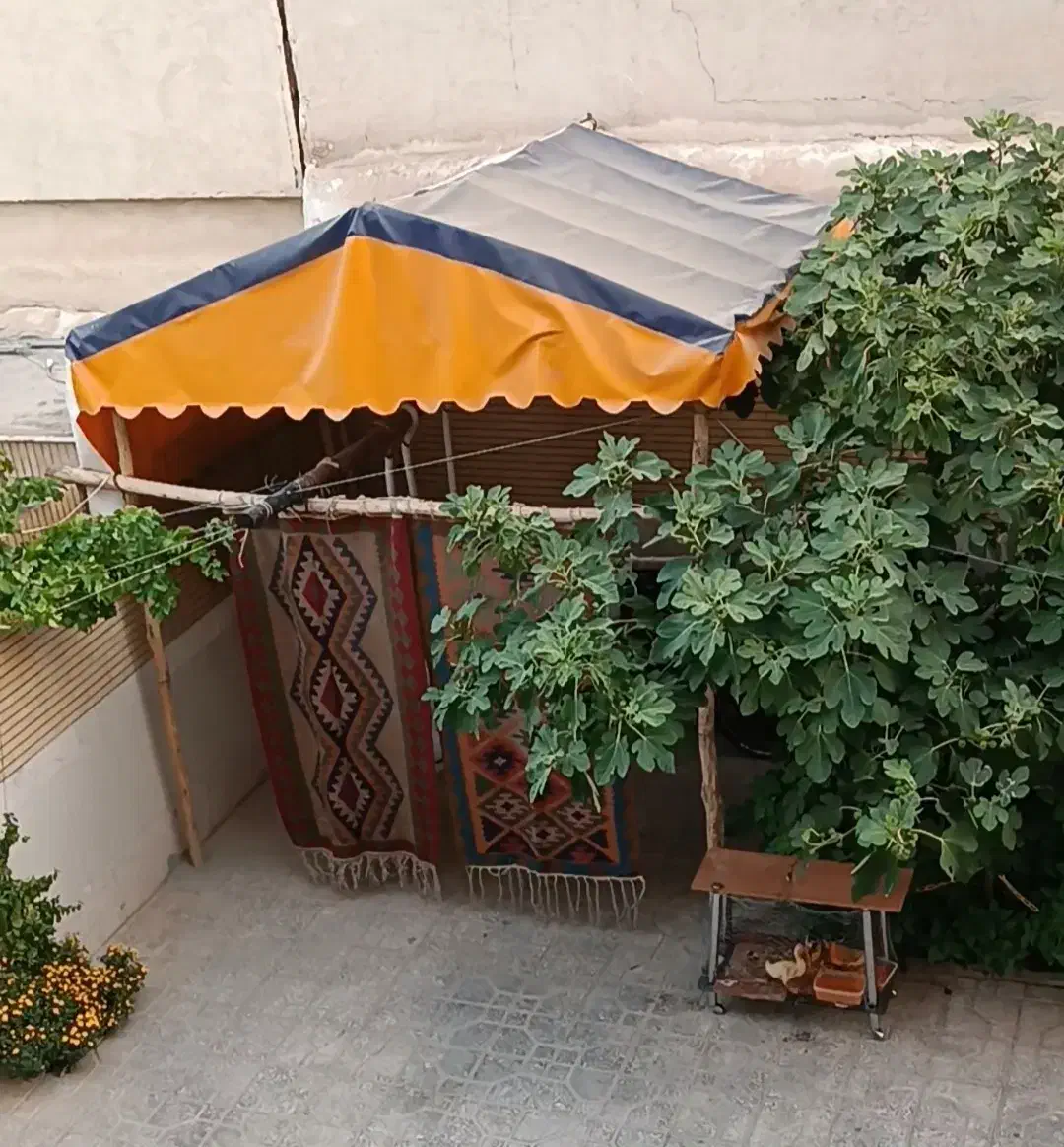 الاچیق و تاب|کوهنوردی و کمپینگ|شاهین‌شهر, عطار|دیوار