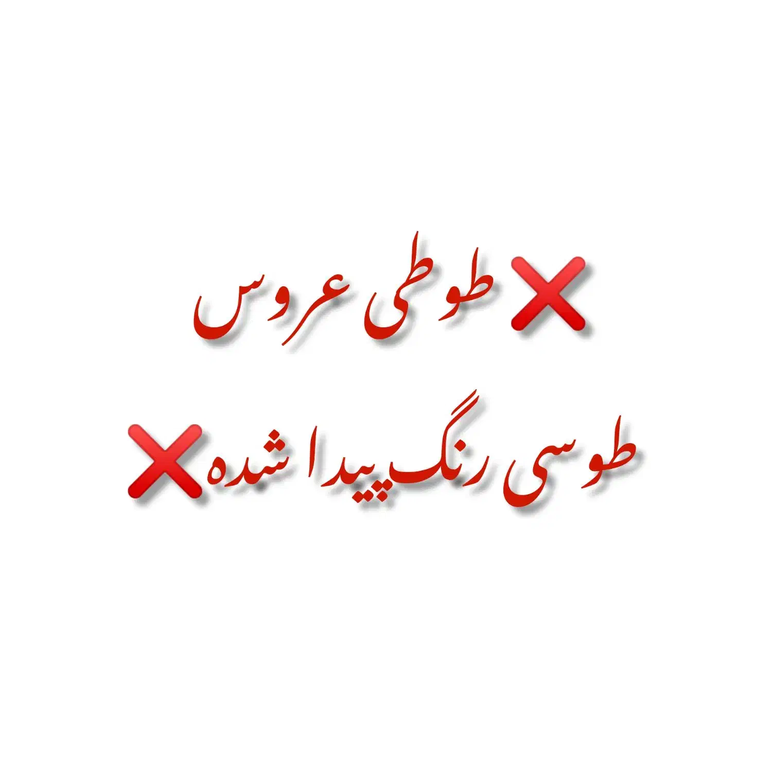 طوطی عروس طوسی رنگ پیدا شده لطفا توضیحات بخونید|پرنده|رشت, سیا اسطلخ|دیوار