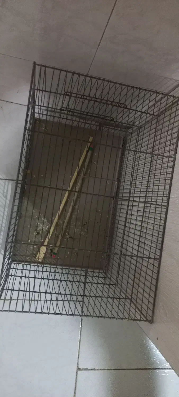 قفس پرنده|لوازم جانبی حیوانات|تهران, مینای شمالی (مخبر)|دیوار