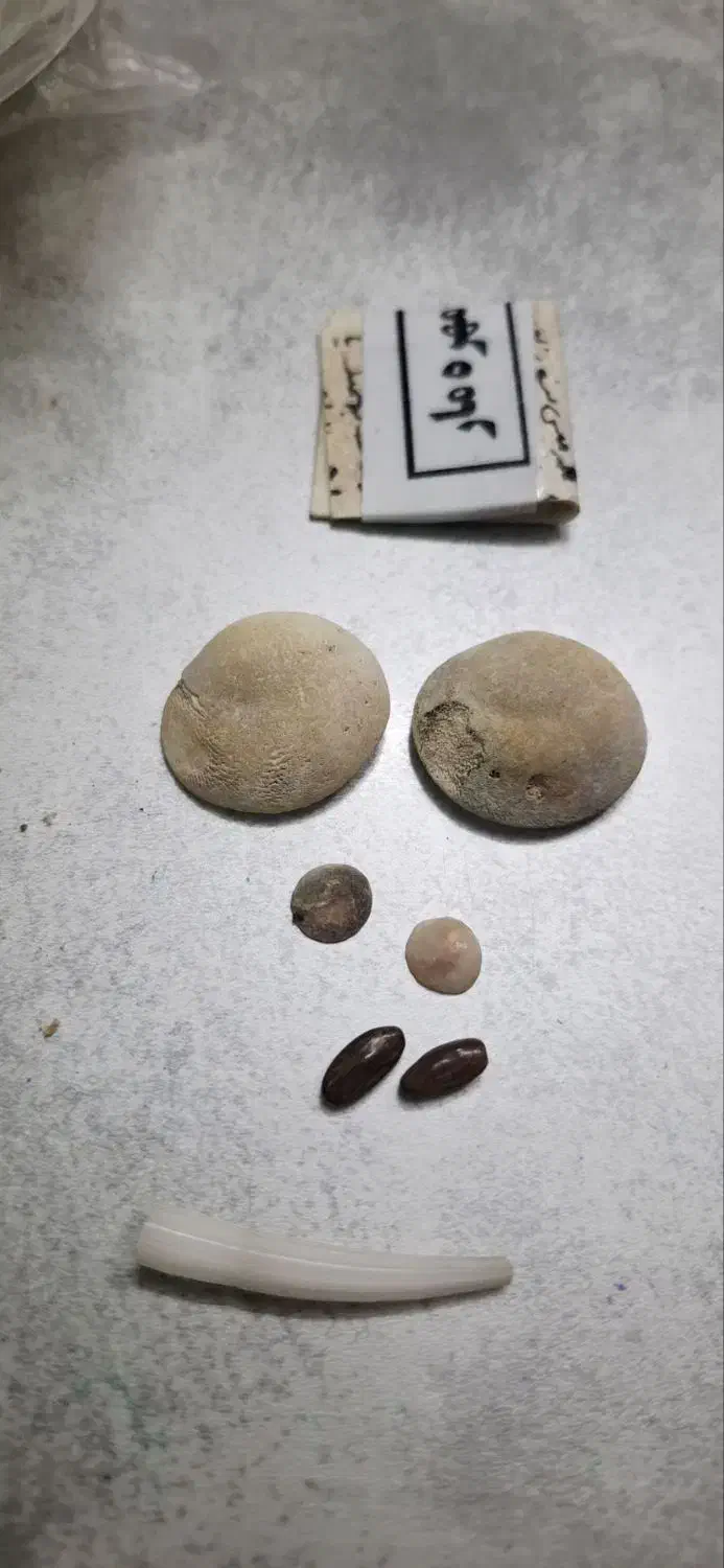 تاروت قهوه|خدمات پذیرایی، مراسم|بجنورد, |دیوار