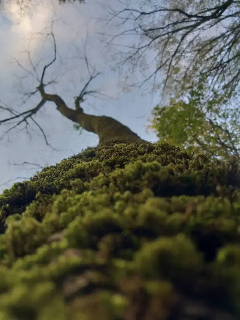 نویسندگی،تولید محتوا در زمینه روانشناسی،رشدفردی|خدمات پیشه و مهارت|شیراز, دشت چنار|دیوار