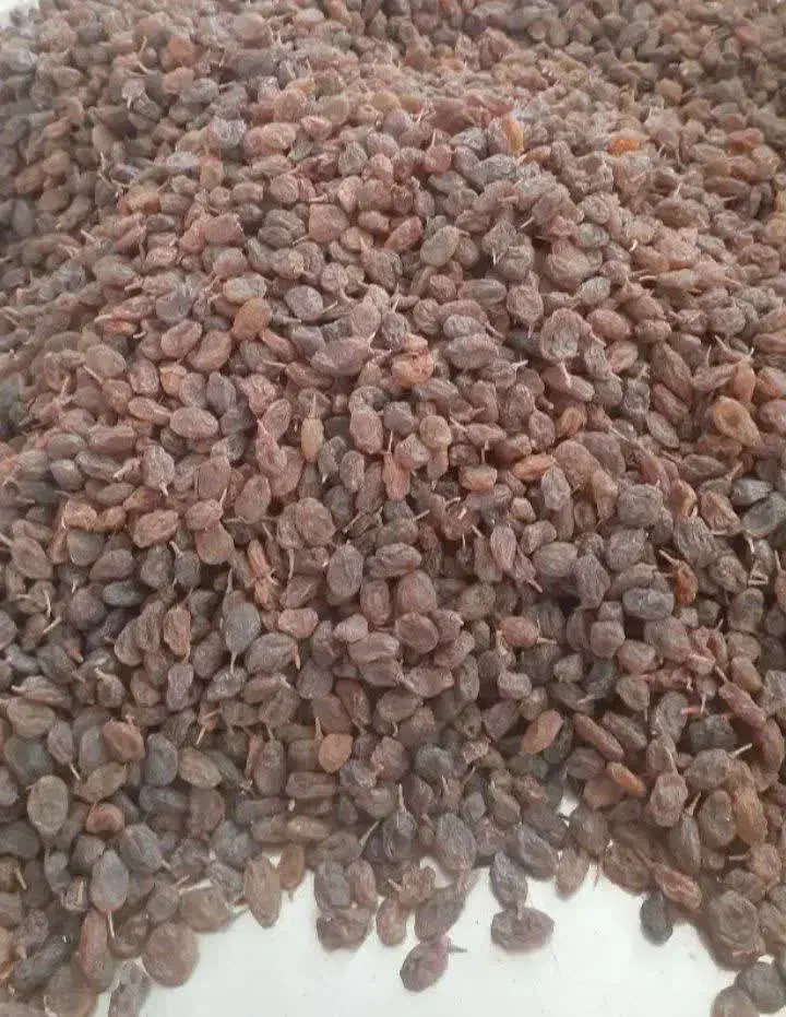 کشمش بیدانه تاکستان|خوردنی و آشامیدنی|قم, پردیسان|دیوار