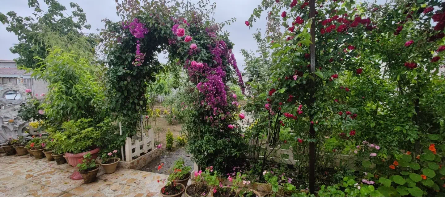 ویلا باغ سند تک برگ مجهز گیلان فومن جاده گشت|فروش خانه و ویلا|فومن, |دیوار