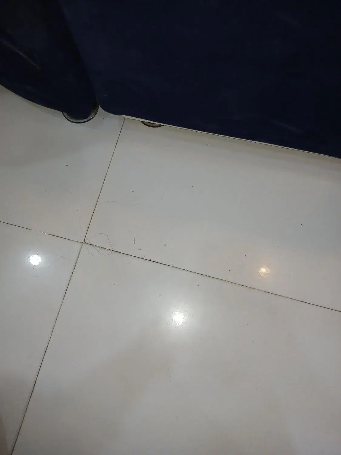 اجاره مغازه|اجارهٔ مغازه و غرفه|بندرعباس, |دیوار