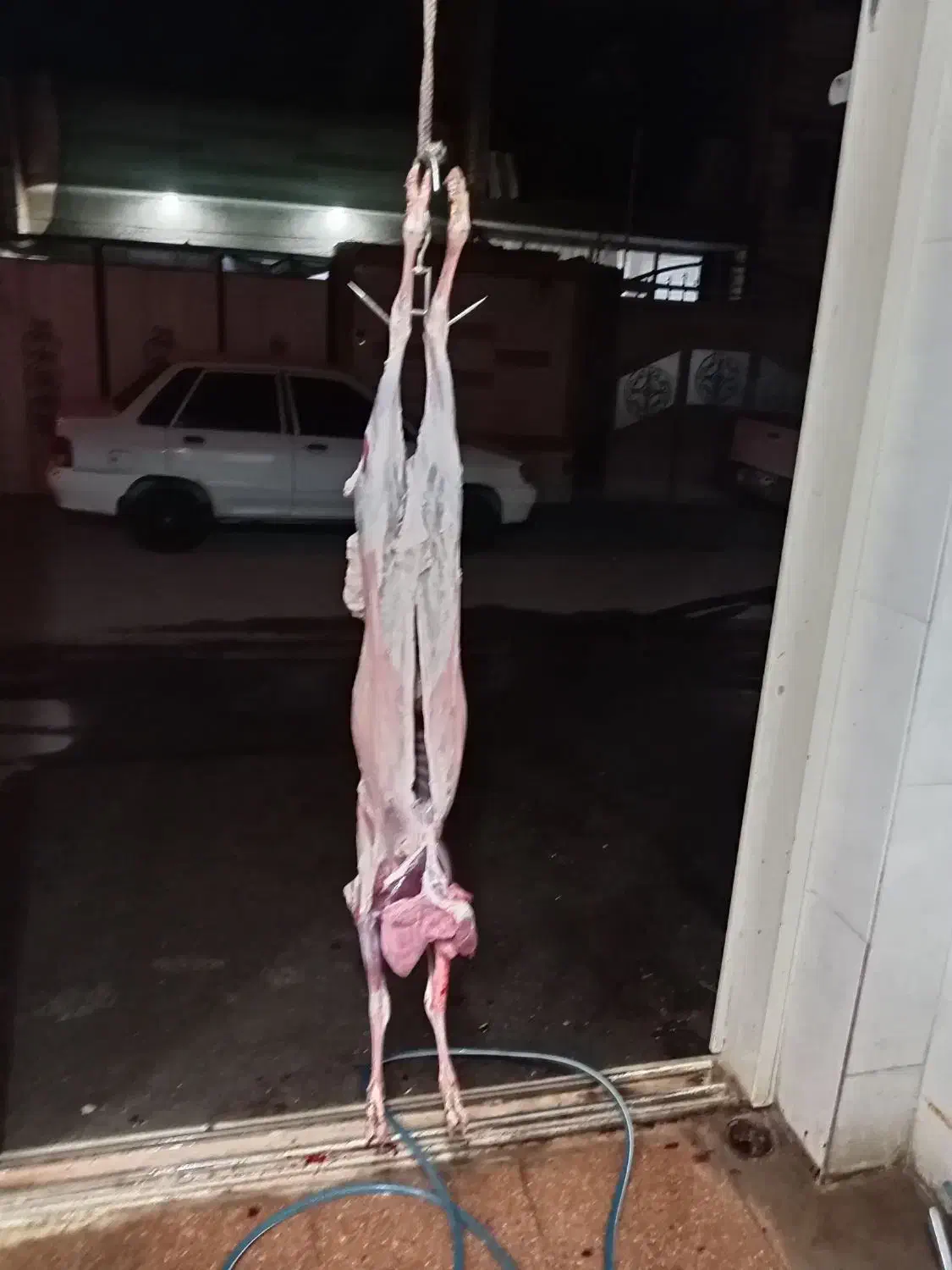 ذبح بره|خدمات پذیرایی، مراسم|نجفآباد, شهید بهشتی|دیوار