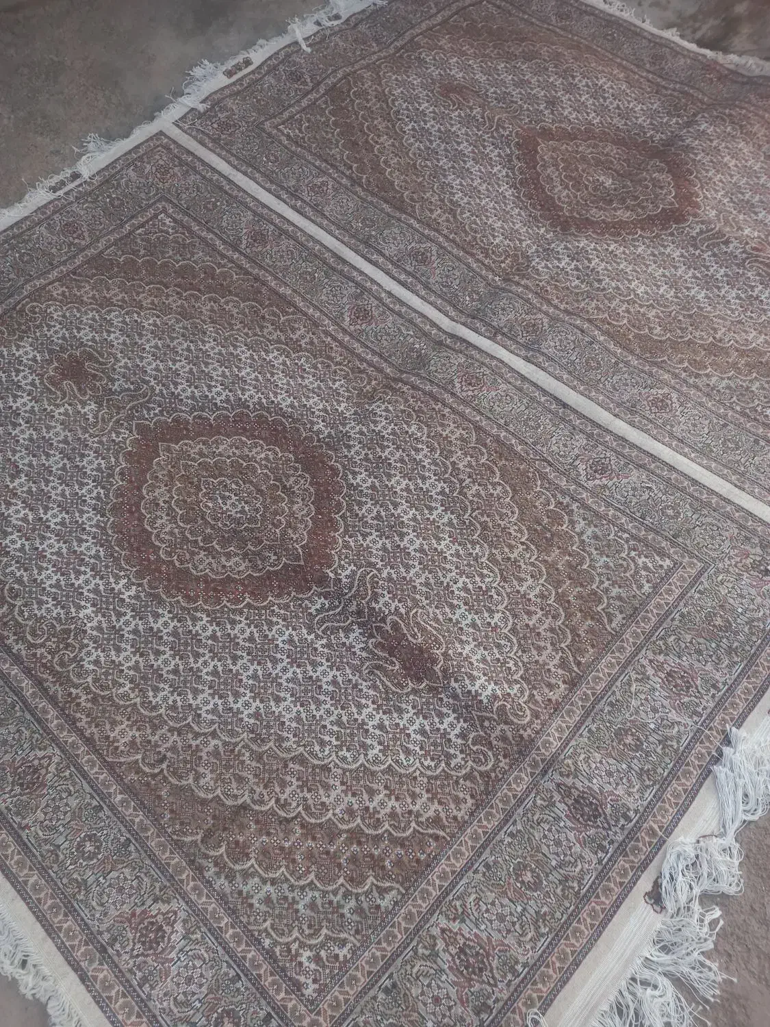 کرم قهوه‌ای تک ۶متری میشه جفت قالیچه هس|فرش|میانه, |دیوار