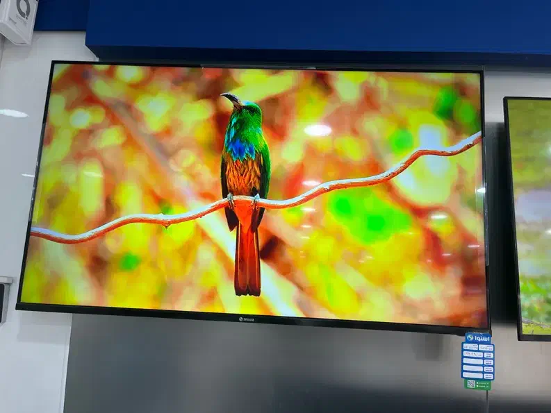 تلوزیون ۵۵ اسنوا|تلویزیون و پروژکتور|قرچک, شهرک طلائیه|دیوار