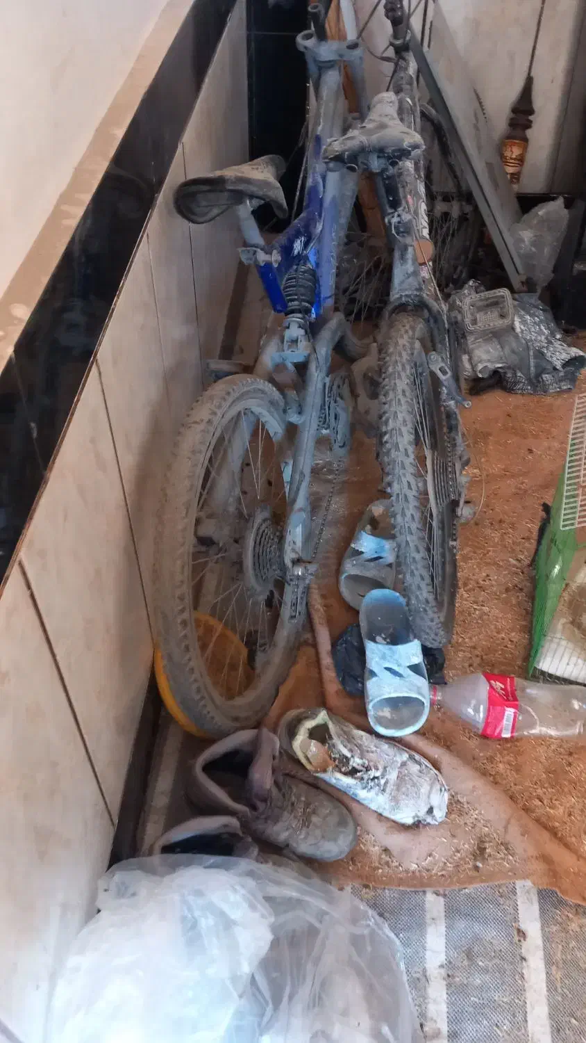 دوعدد دوچرخه ۲۴|دوچرخه، اسکیت، اسکوتر|نگین شهر, |دیوار