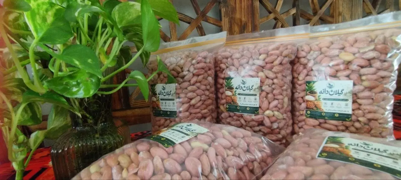 بادام زمینی درجه یک آستانه اشرفیه|خوردنی و آشامیدنی|تهران, شهرک صدرا|دیوار