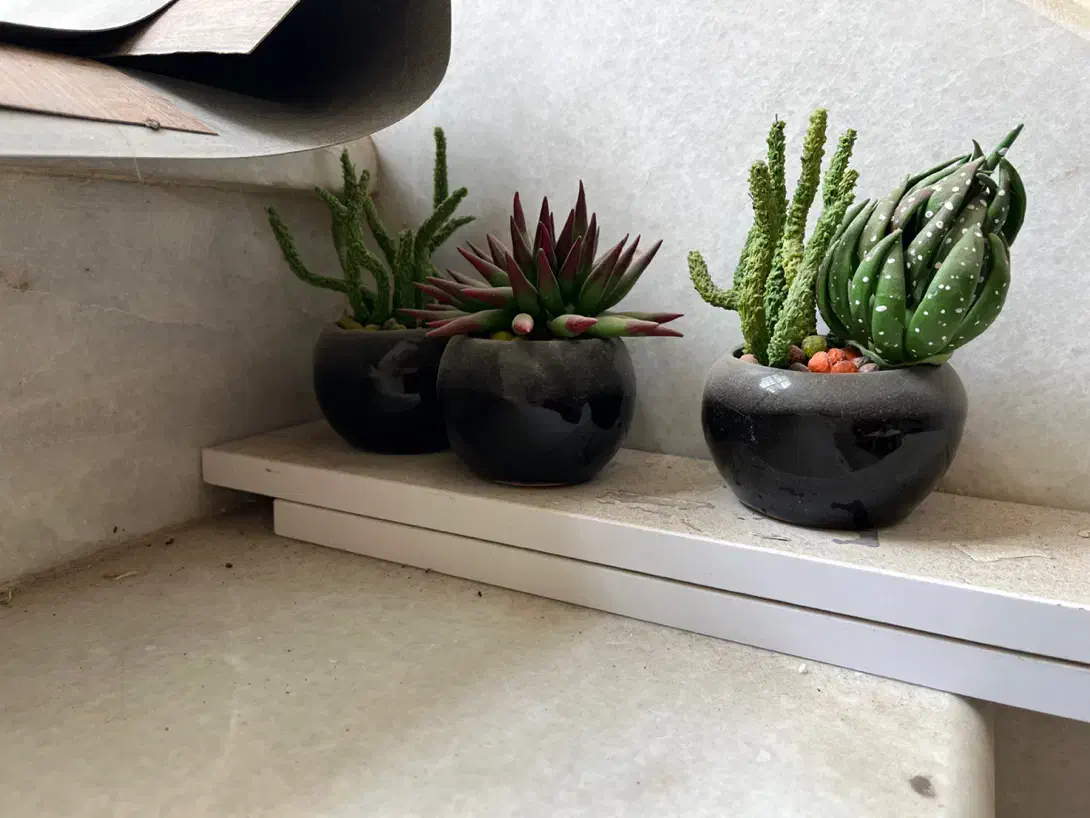 گلدان گل|گل مصنوعی|شیراز, کاراندیش|دیوار