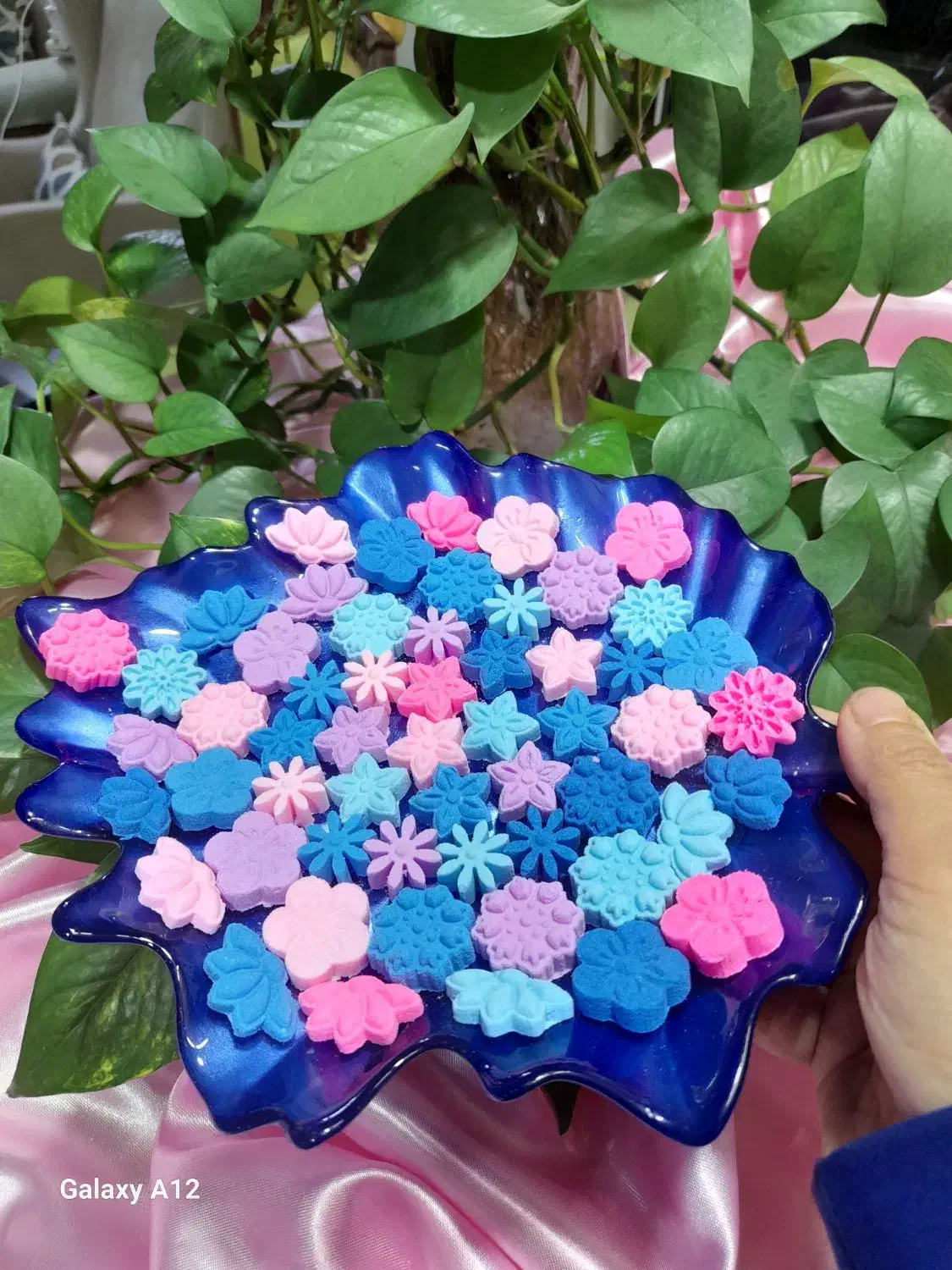 قند ونبات رنگی و گیاهی یلدایی|خوردنی و آشامیدنی|کرج, جهانشهر|دیوار