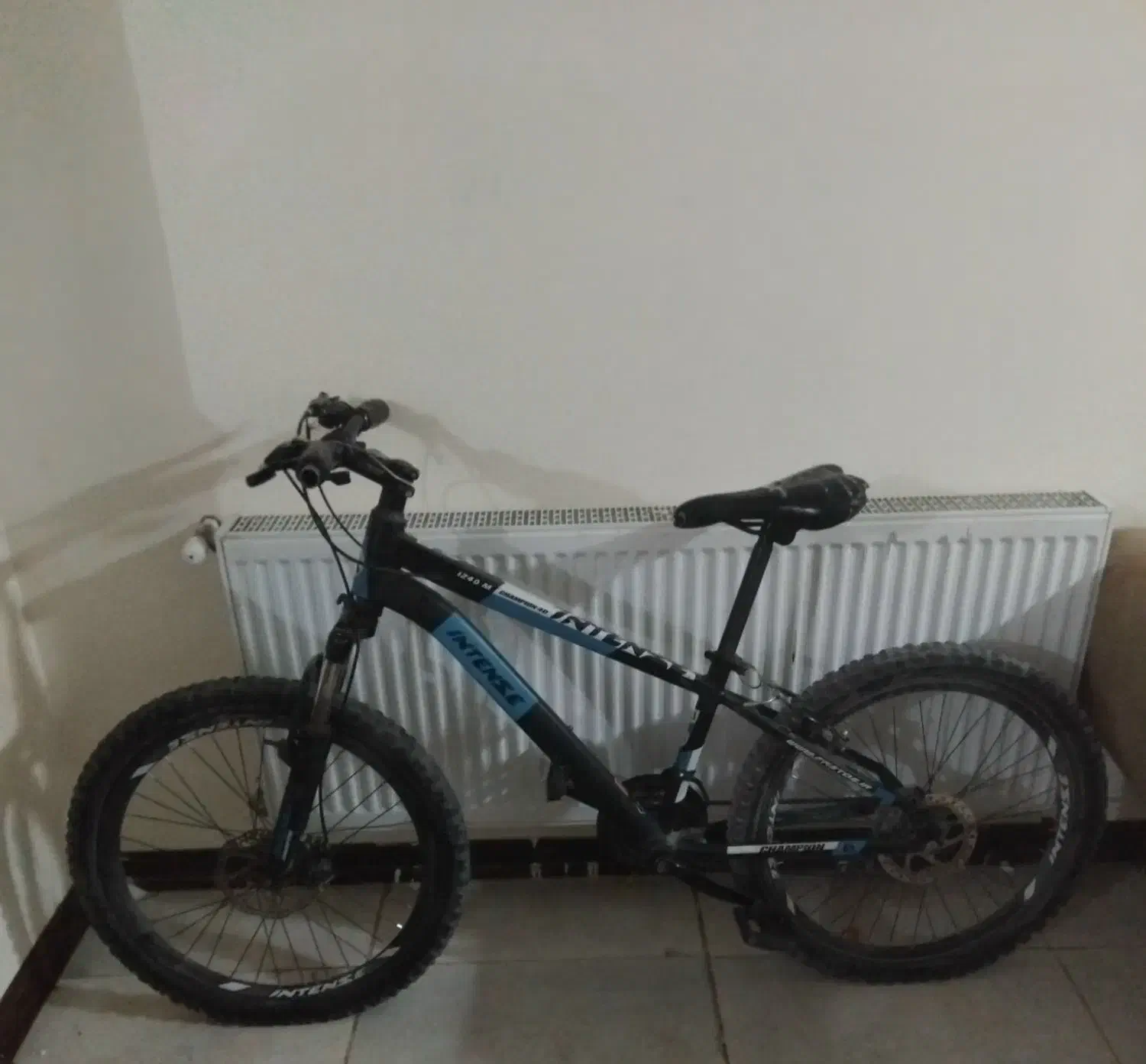 دوچرخه اینتز ایتالیا ۲۴ اصل|دوچرخه، اسکیت، اسکوتر|کن, |دیوار