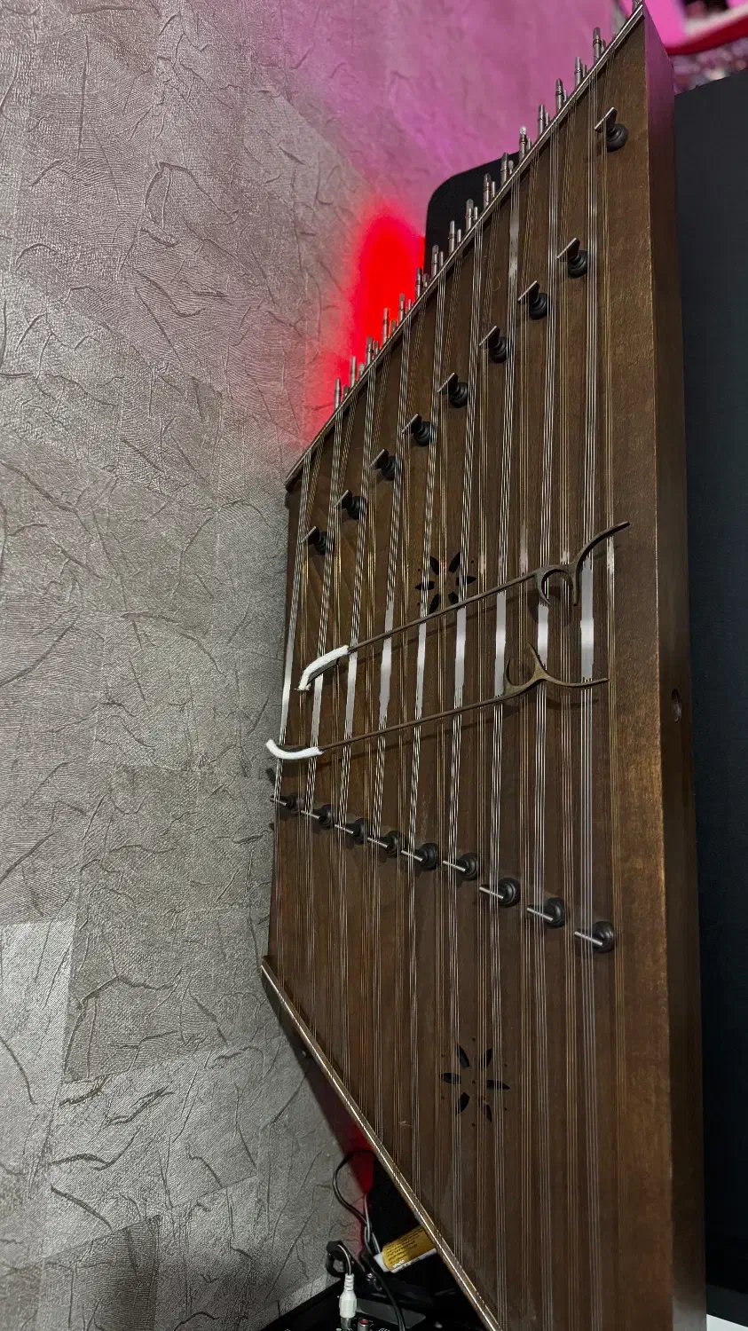 سنتور تک مهر موسوی|سازهای سنتی|تبریز, |دیوار