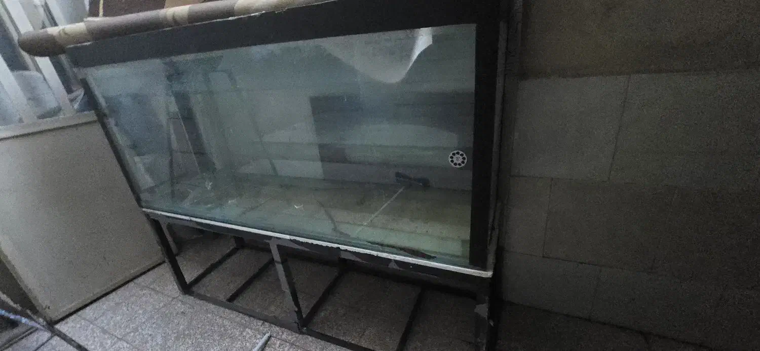 اکواریوم|ماهی|فردیس, شهرک شهید حسینی|دیوار