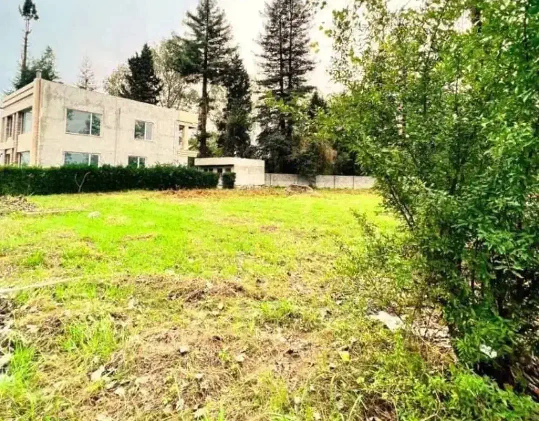 230 م زمین بافت شهرک چسبیدجنگل با سند /ا|فروش زمین و ملک کلنگی|امامزاده عبدالله, |دیوار