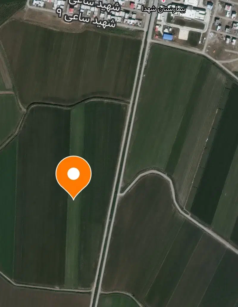 دو هکتارزمین کشاورزی|اجارهٔ دفتر صنعتی، کشاورزی، تجاری|پارس‌آباد, |دیوار