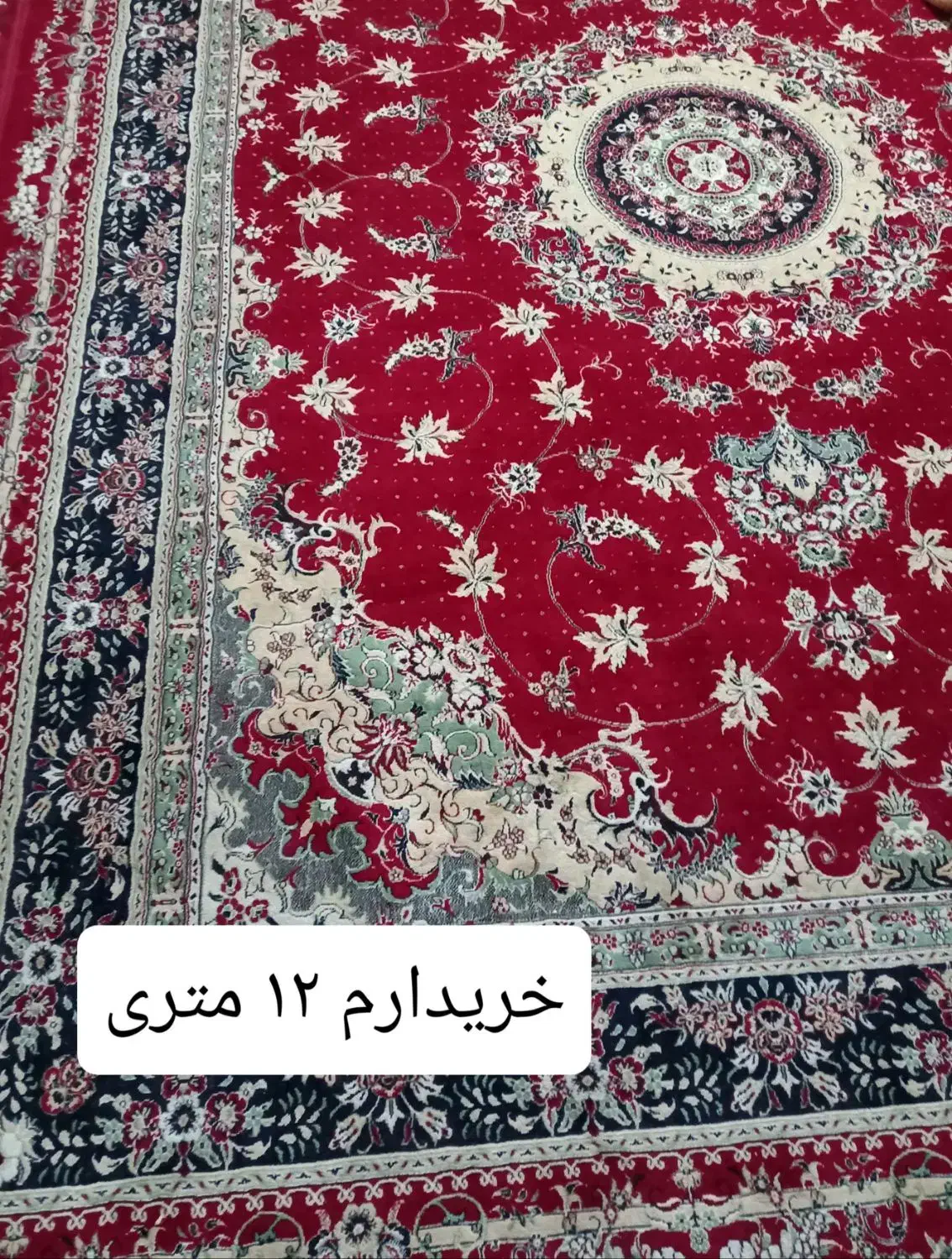 فرش ۱۲ متری|فرش|همدان, |دیوار