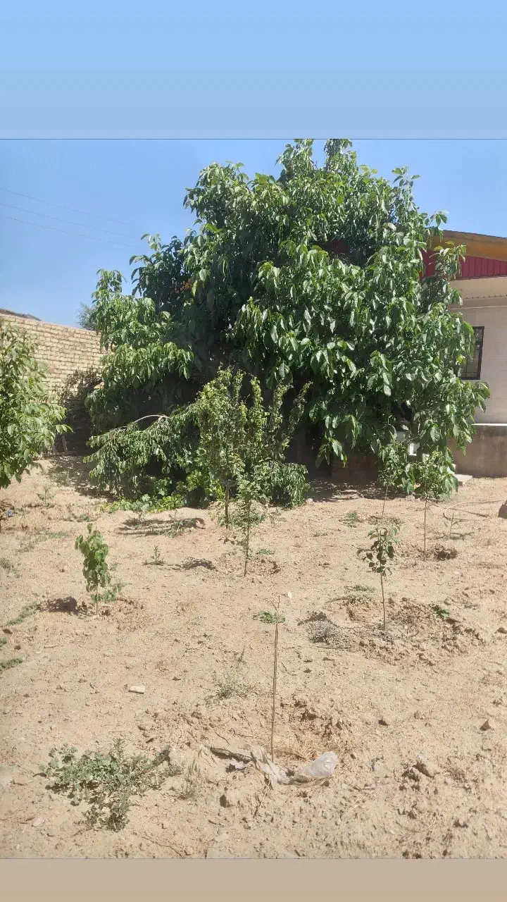 فروش ویلا در روستای سینک افشاریه|فروش خانه و ویلا|خرمدشت, |دیوار