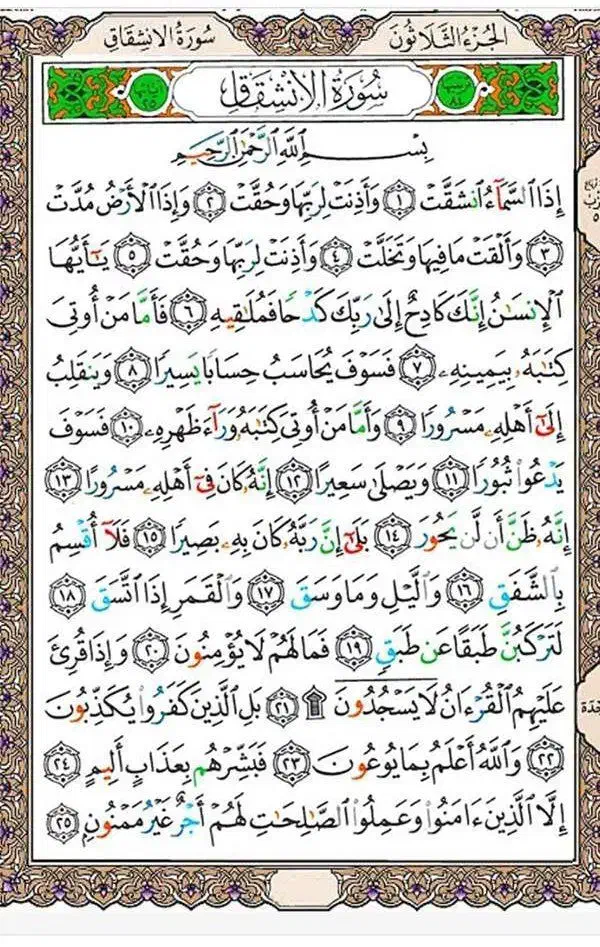 کارتن موزی|کتاب و مجله مذهبی|گنبد کاووس, |دیوار