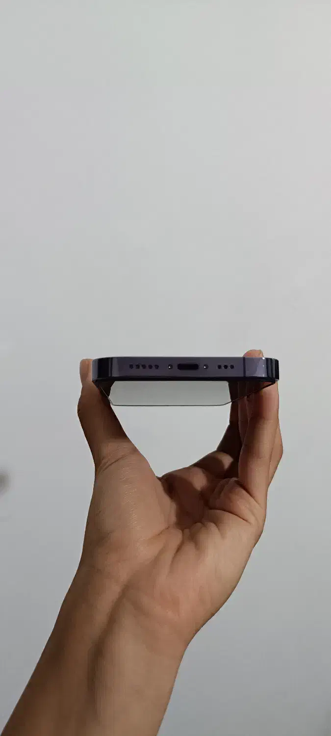 ایفون ۱۴پرو|موبایل|شیراز, گل سرخ|دیوار