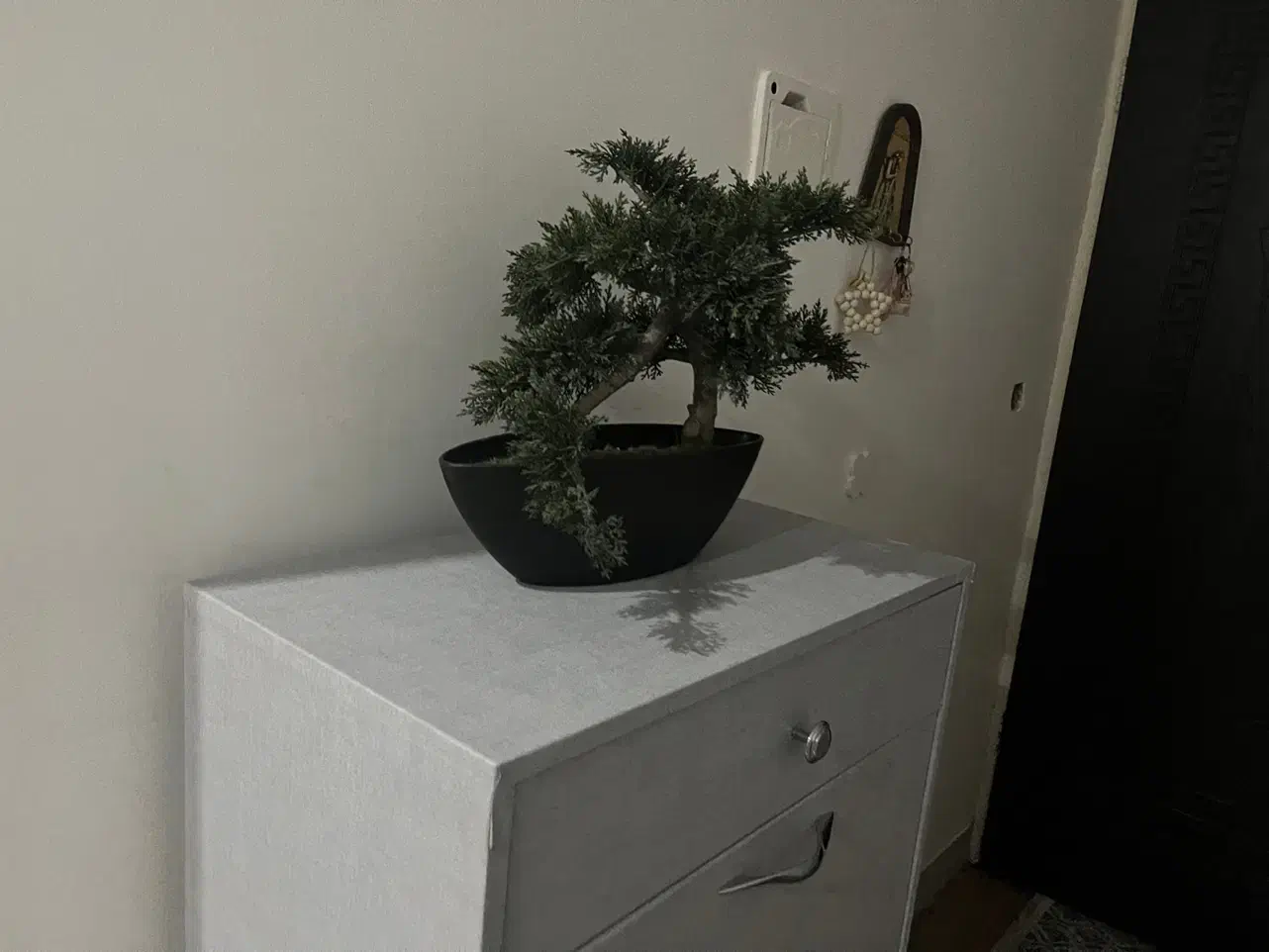 بن سای مصنوعی|گل مصنوعی|اندیشه, اندیشه فاز ۱|دیوار