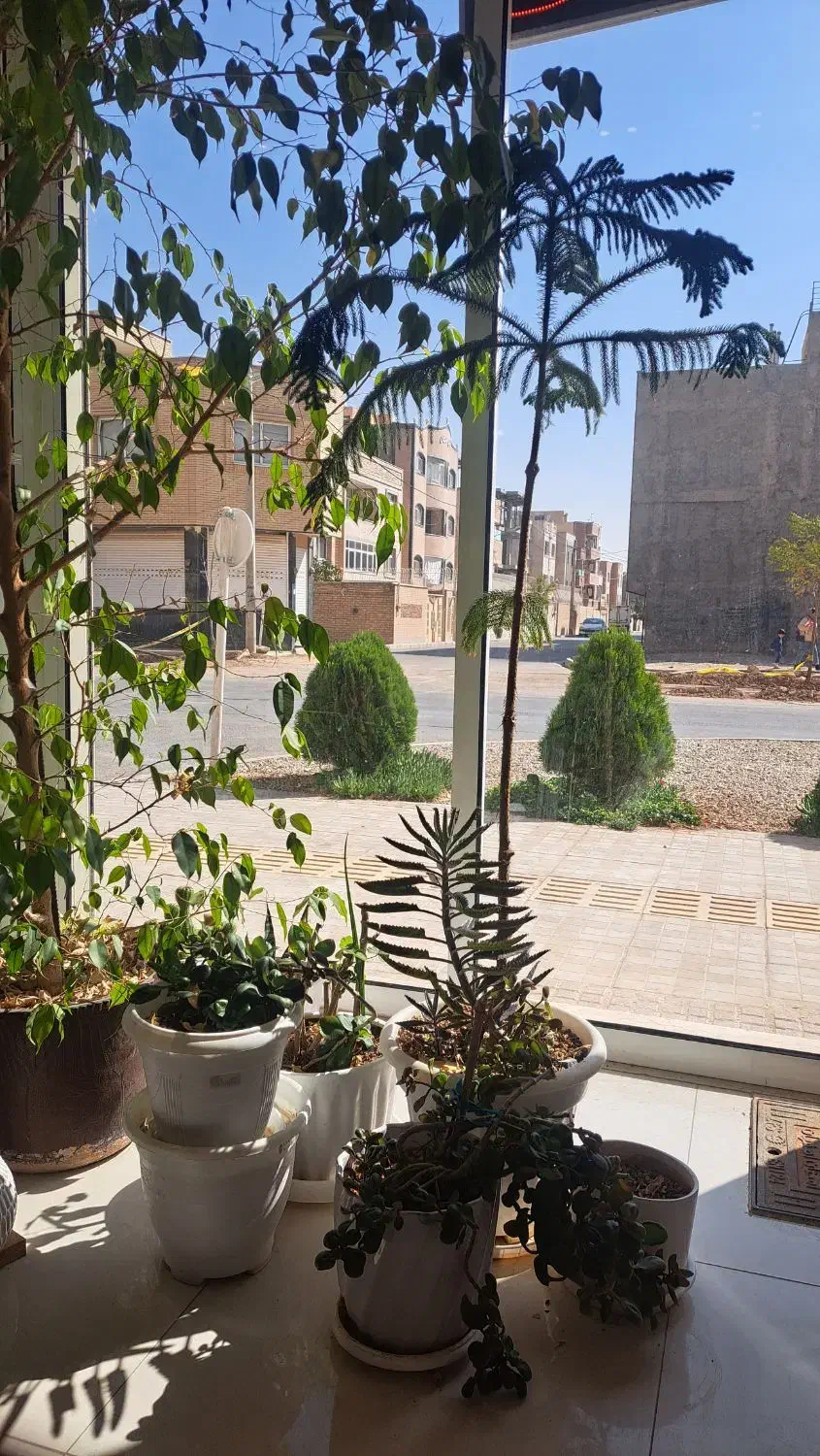 مغازه تجاری ۳۳متری شهرک سیمرغ|فروش مغازه و غرفه|برخوار, |دیوار