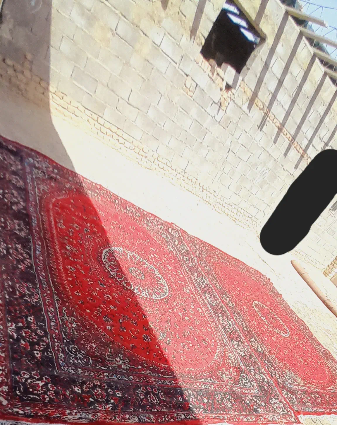 دو عدد فرش ۱۲ متری|فرش|زابل, |دیوار