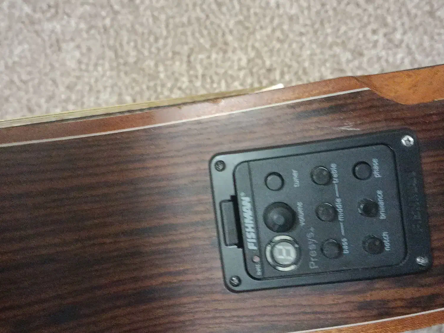 گیتار واشبورن|گیتار، بیس، امپلیفایر|صدرا-فارس, فاز ۱|دیوار