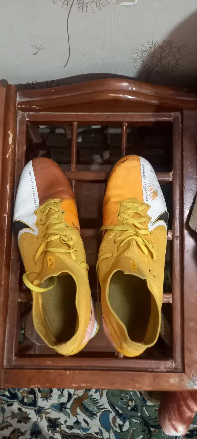 کفش سالنی درحدنو|کیف، کفش، کمربند|تربت جام, نظامی|دیوار