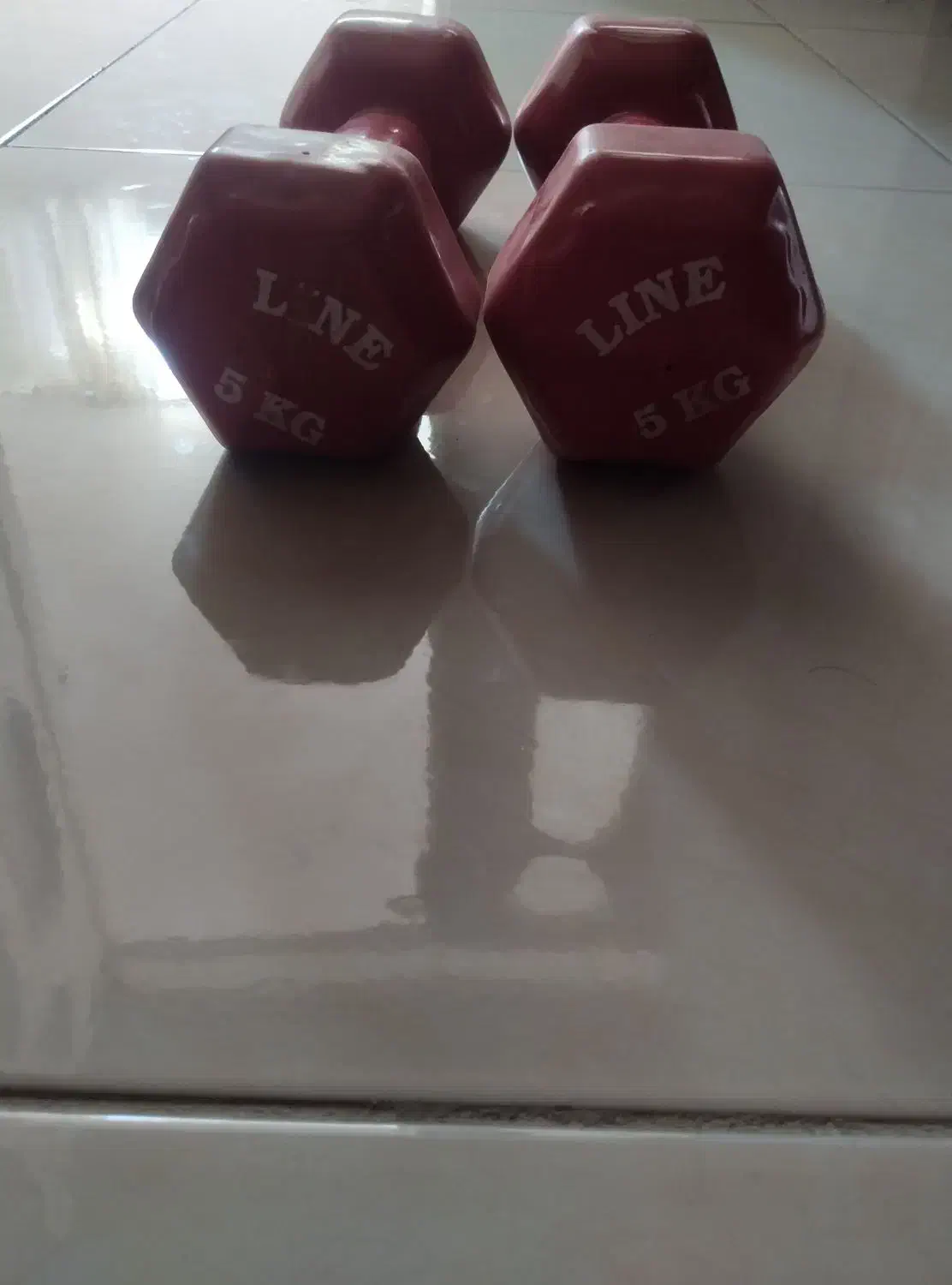 دمبل ورزشی|تجهیزات ورزشی|تهران, شهرک فرهنگیان|دیوار