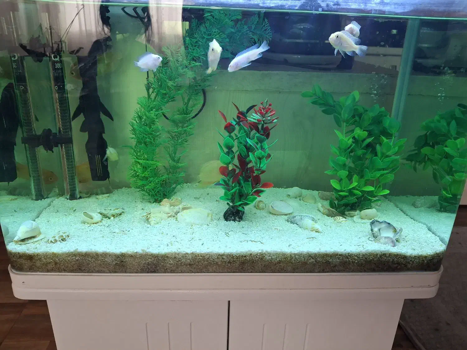 آکواریوم با کمد و همه تجهیزات|ماهی|شاهینشهر, گرگاب|دیوار