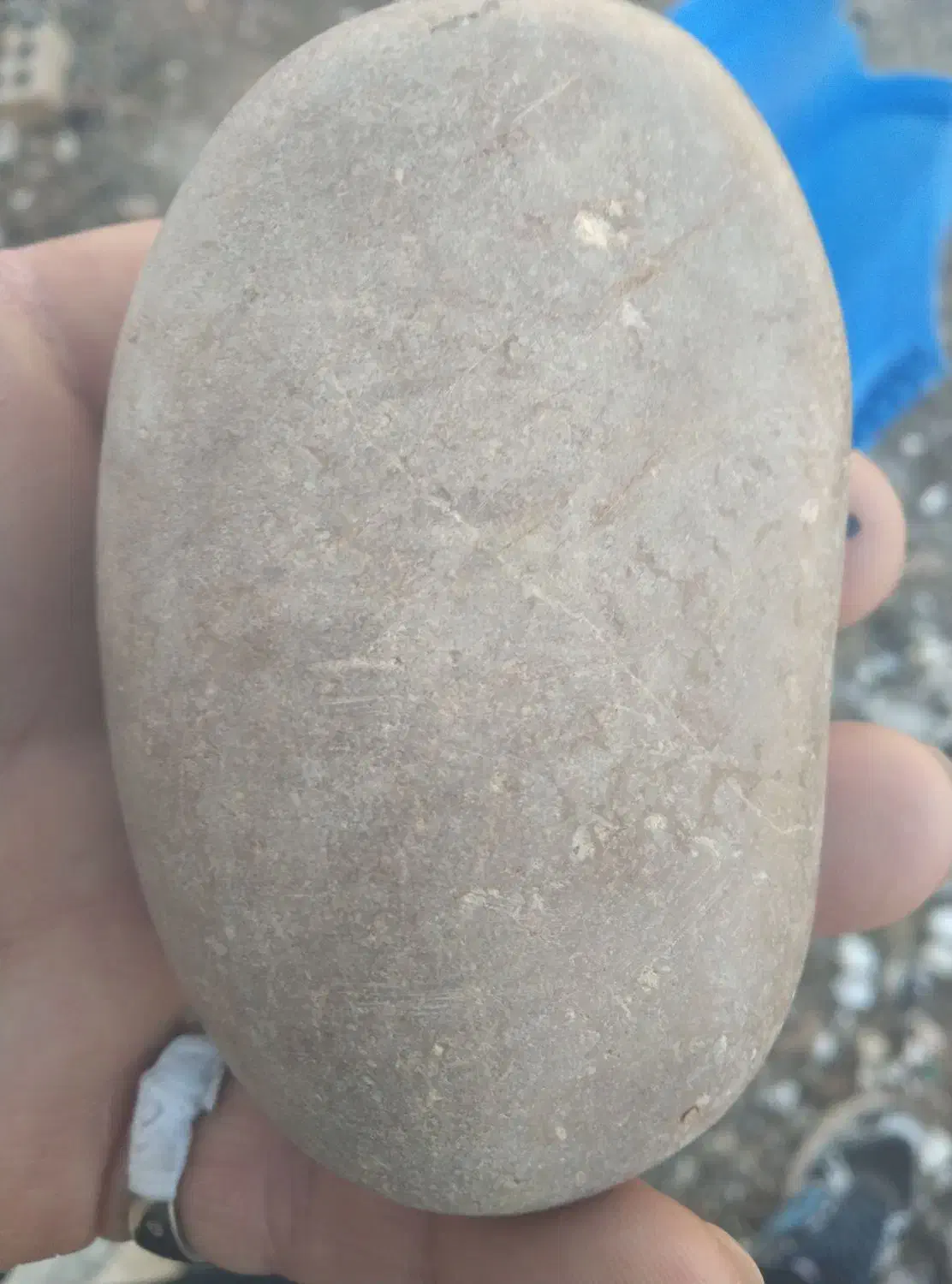 فروشی|کلکسیون اشیاء عتیقه|آبیک, |دیوار