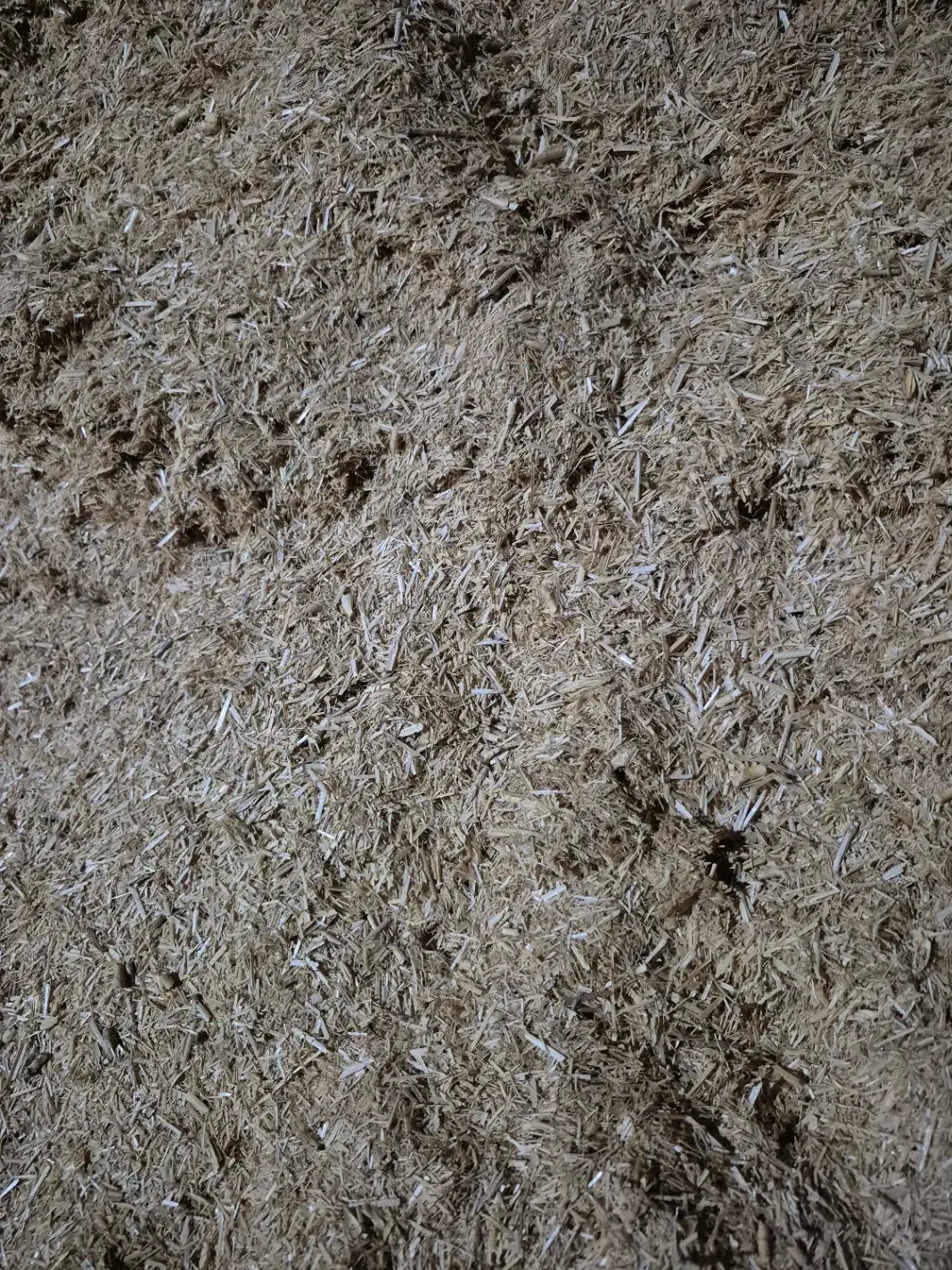 کاه|لوازم جانبی حیوانات|شیروان (خراسان), |دیوار