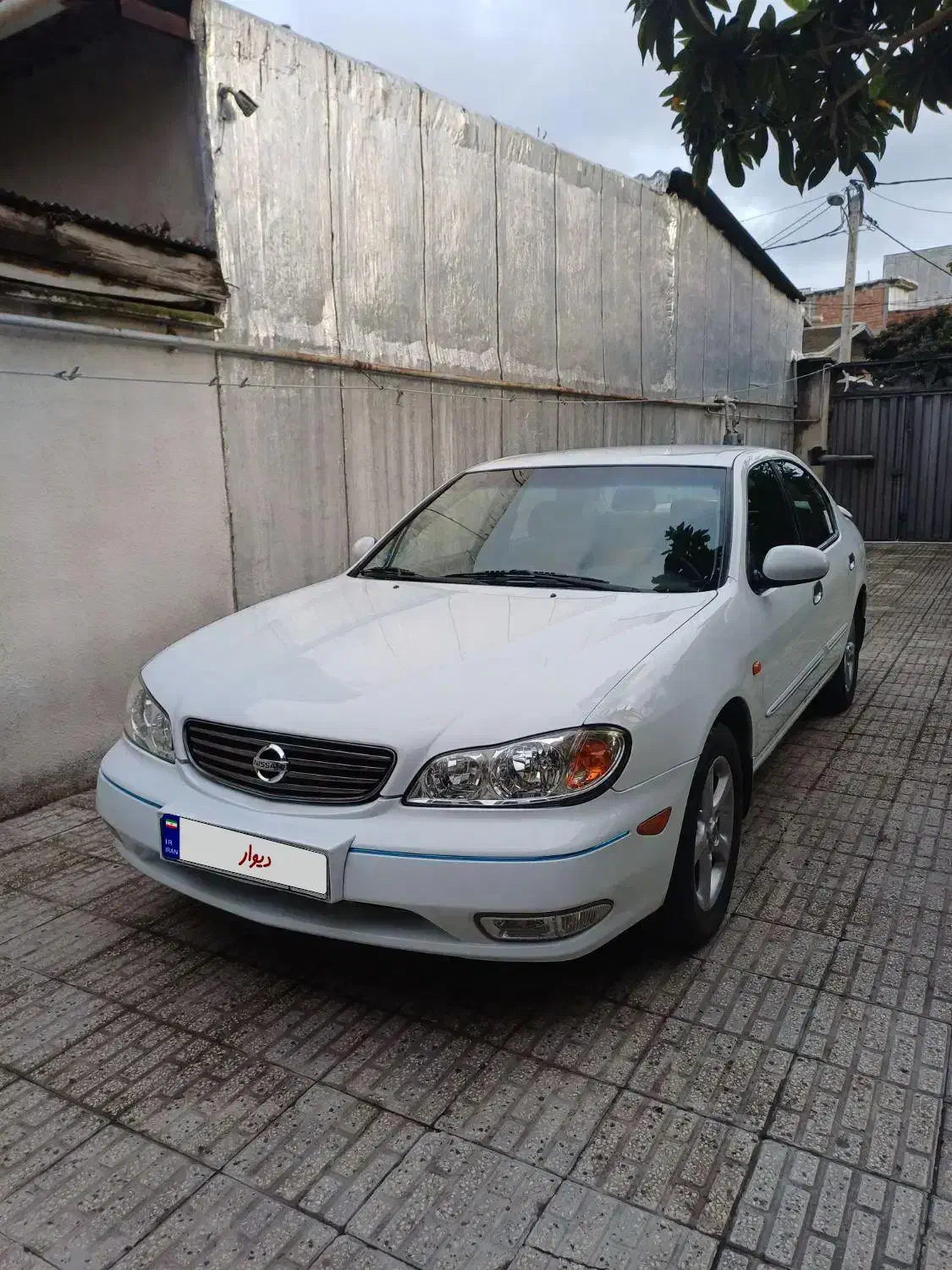 ماکسیما مدل ۸۹|خودرو سواری و وانت|ساری, |دیوار