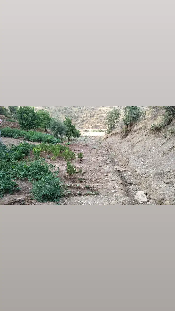 فروش زمین کشاورزی جاده جدید سنندج مریوان|فروش دفتر صنعتی، کشاورزی، تجاری|مریوان, |دیوار