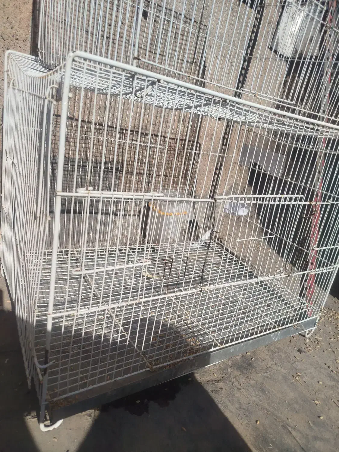 قفس پرنده|لوازم جانبی حیوانات|نیشابور, مازول|دیوار