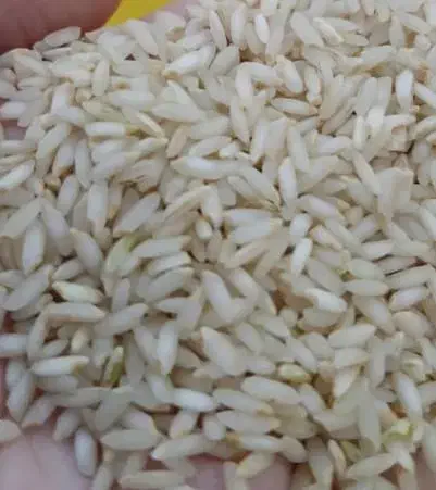 برنج قلق چی|خوردنی و آشامیدنی|دزفول, |دیوار