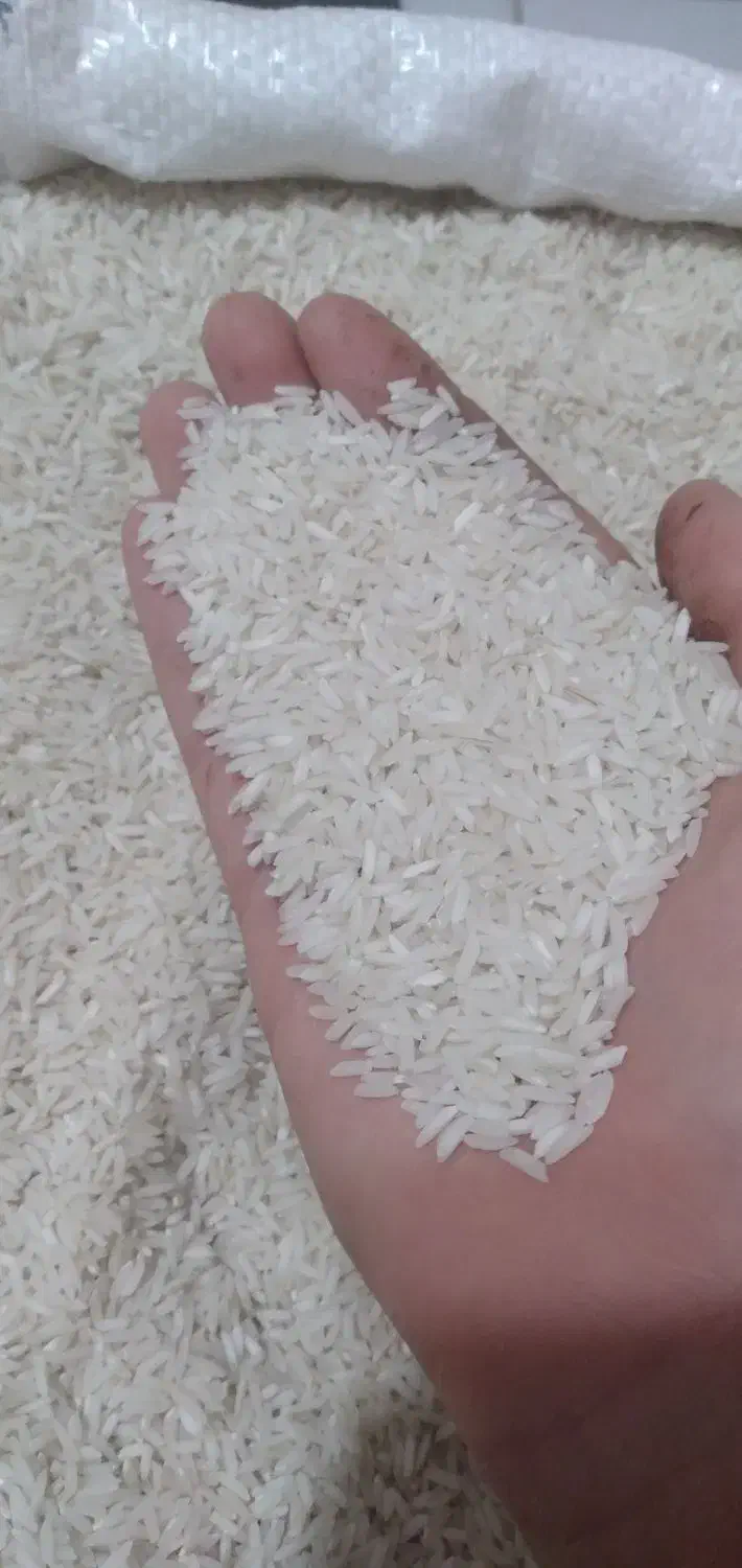 برنج هاشمی|خوردنی و آشامیدنی|رشت, حمیدیان|دیوار
